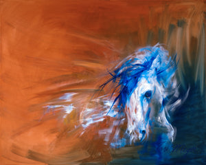 20x16