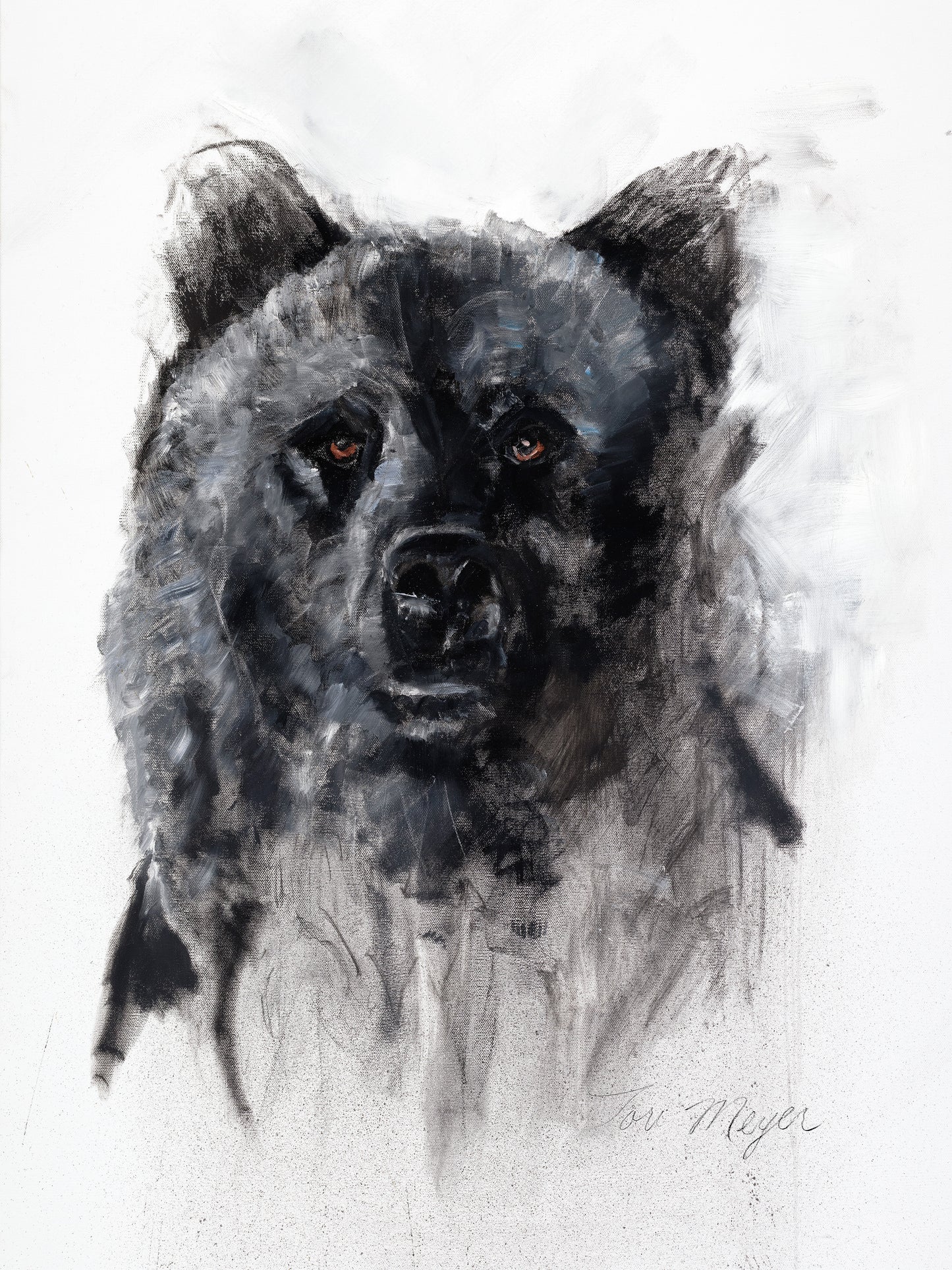 Grizzly Majestic - Fine Art Print