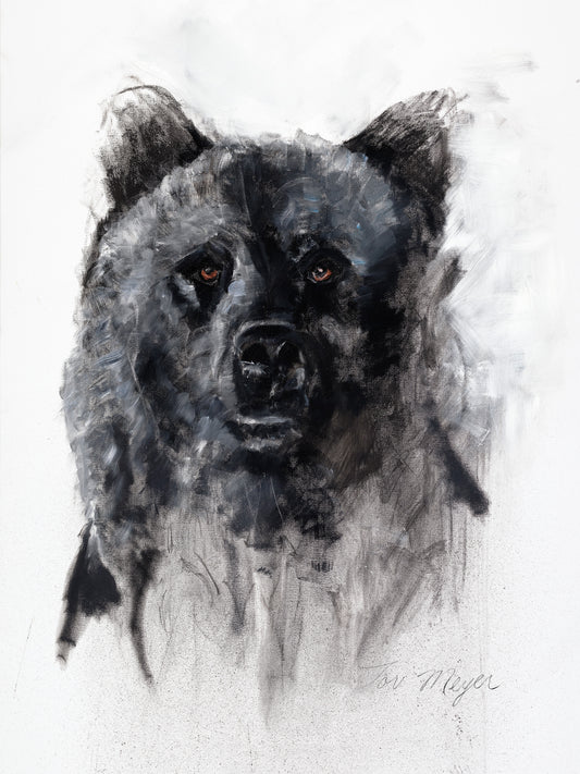 Grizzly Majestic - Fine Art Print