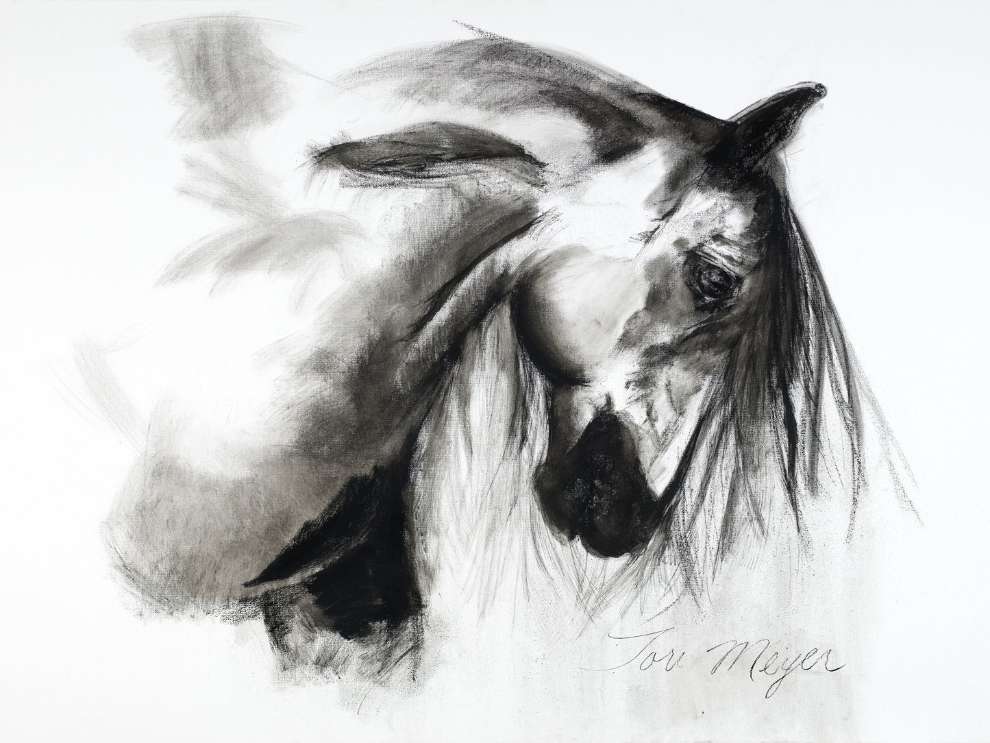 Liberty - Fine Art Print
