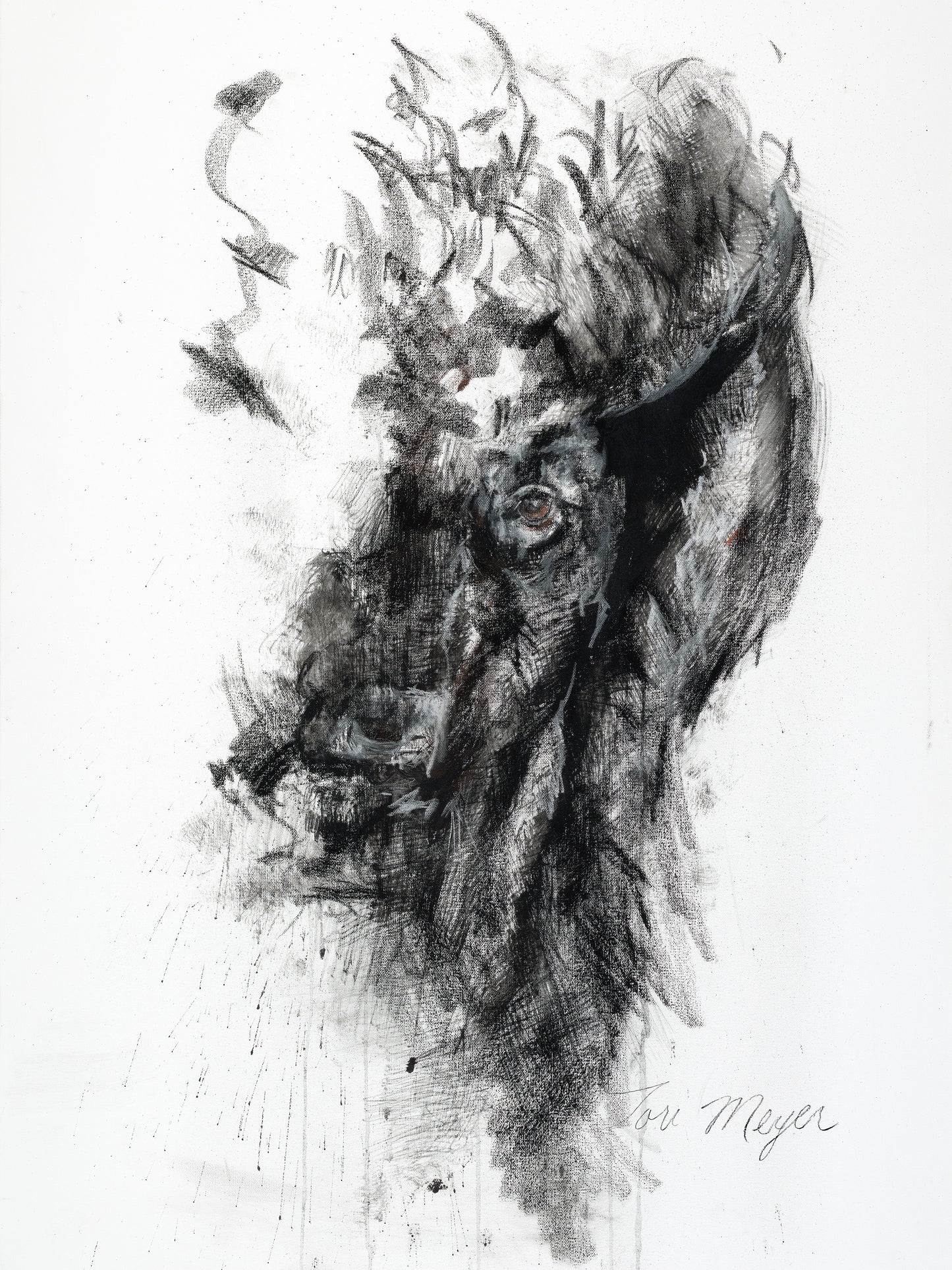 Renegade - Fine Art Print