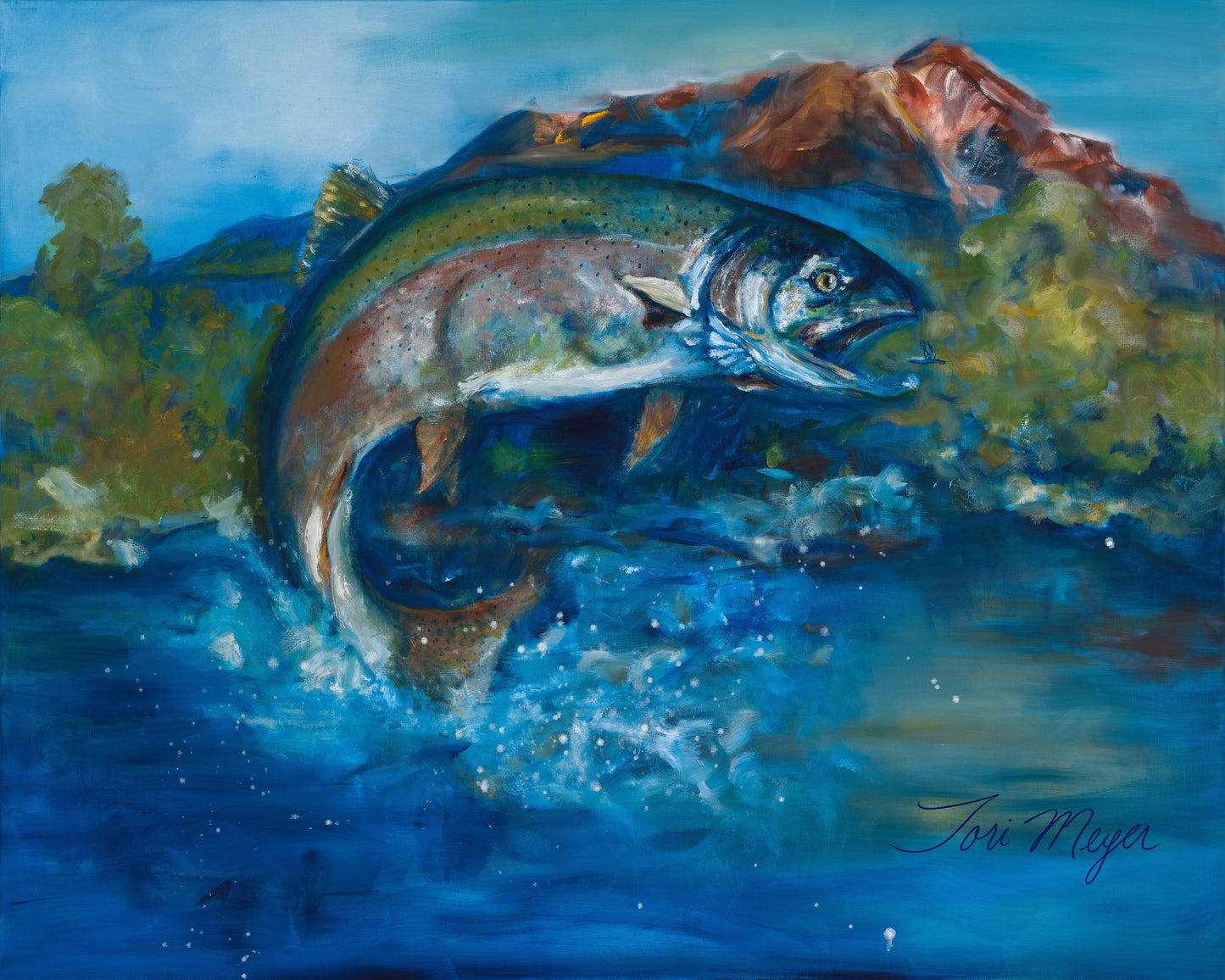 Rising Trout - Fine Art Print