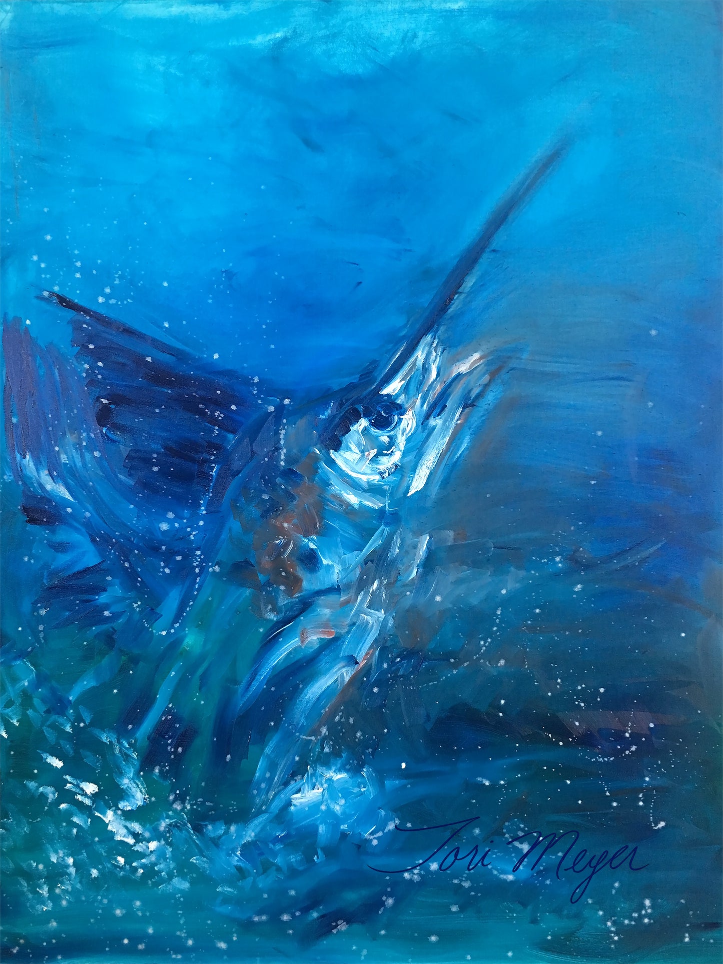 Sailfish  - Fine Art Print