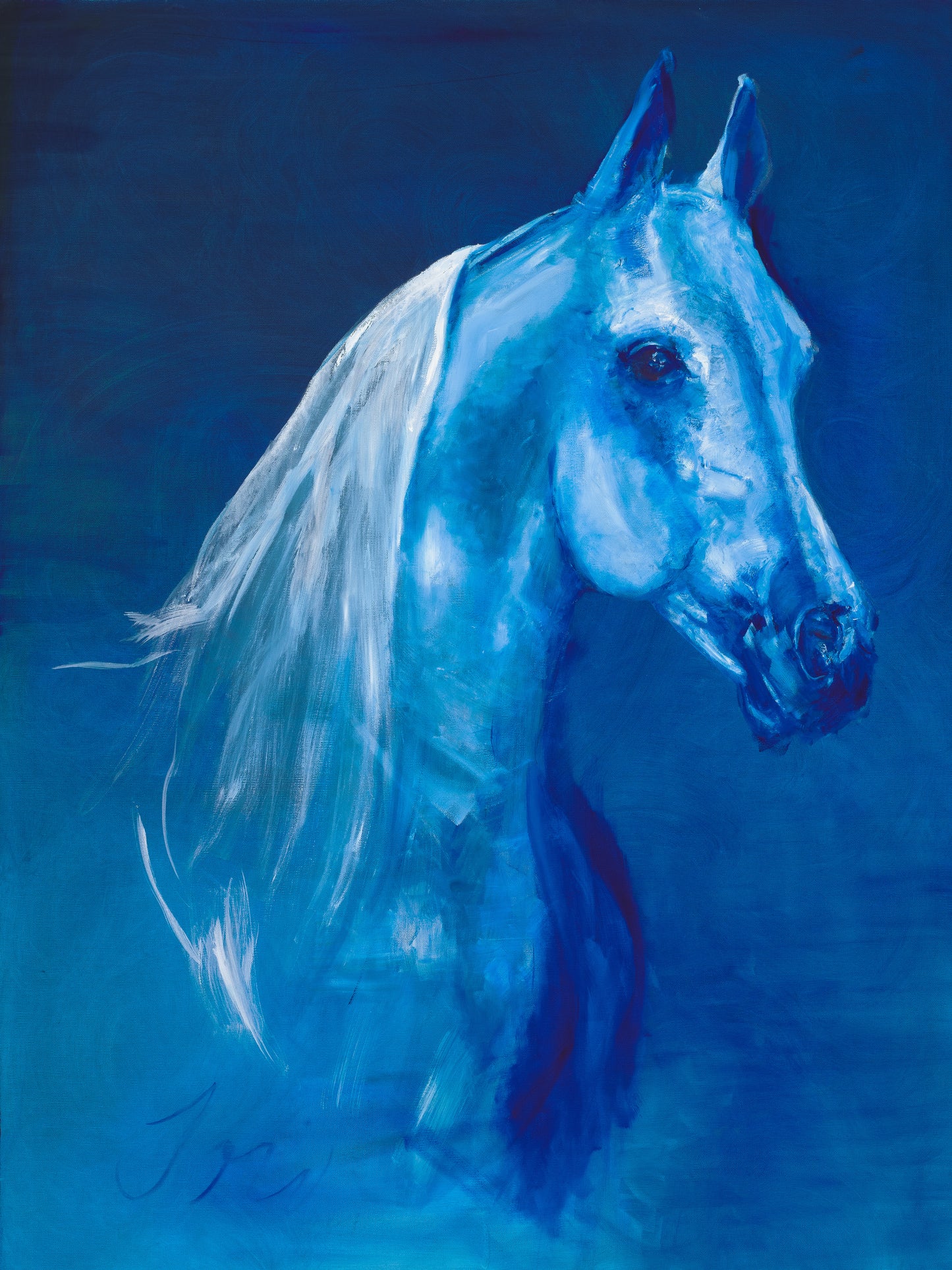 War Horse I - Fine Art Print
