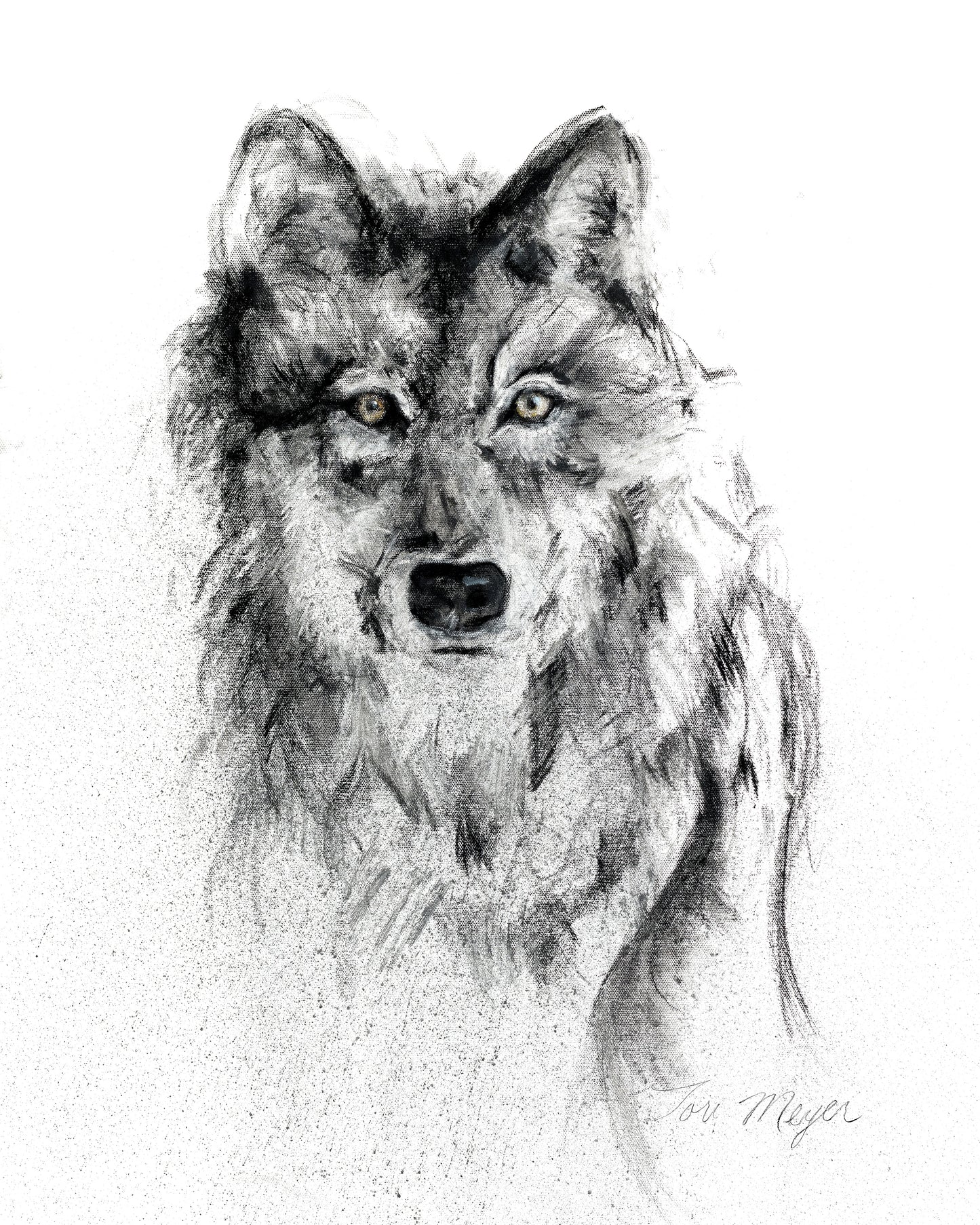 Wild Spirit   - Fine Art Print