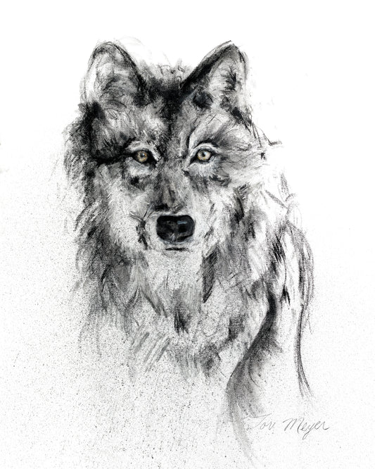 Wild Spirit   - Fine Art Print